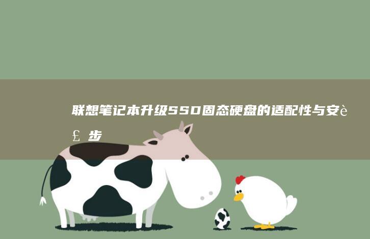 联想笔记本SSD固态硬盘的适配性与安装步