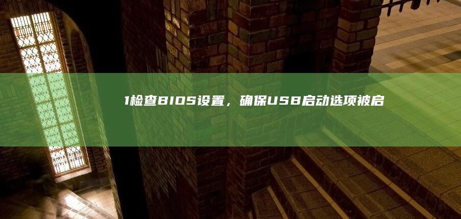 1检查BIOS设置，确保USB启动选项被启