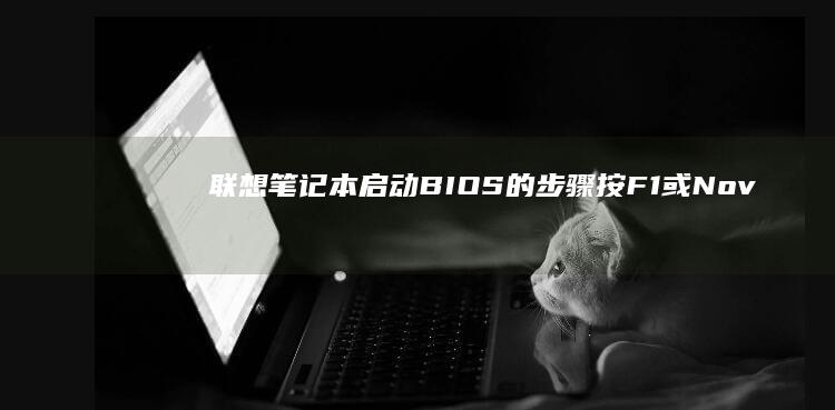 笔记本启动BIOS的步骤按F1或Nov
