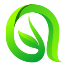 好看的言情小说