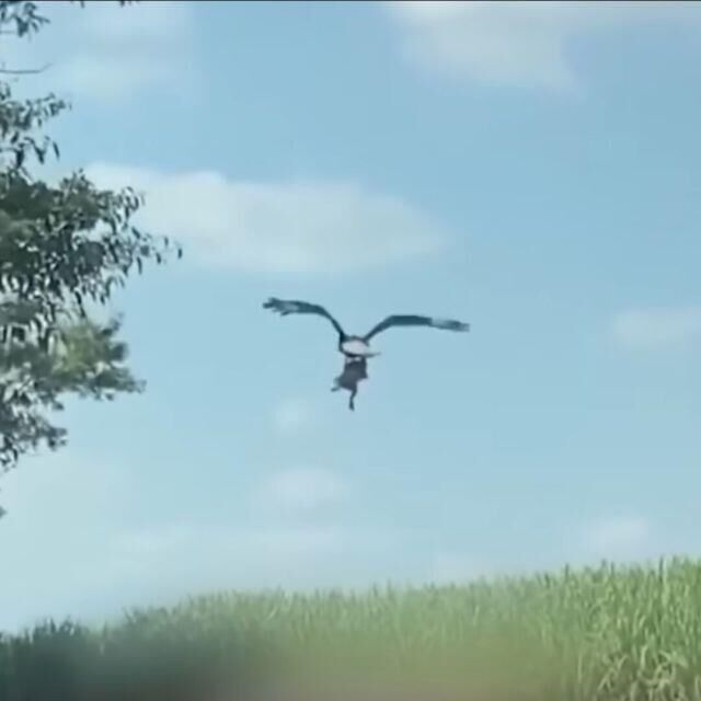风线