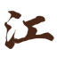 江阳君易学社