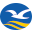 首页
