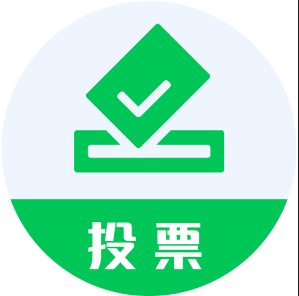 投票选项