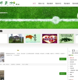 郑无水网站