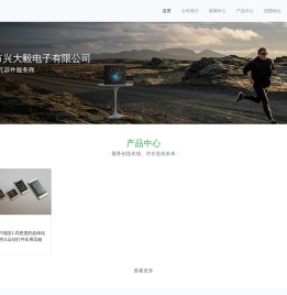 深圳市兴大毅电子有限公司