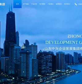 山东中兴企业发展集团有限公司