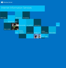 上海真奕实业有限公司