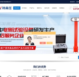 武汉特高压电力科技有限公司