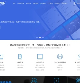 西安软件开发