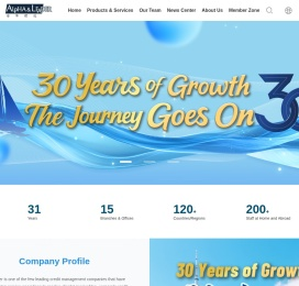 安华理达风险资产管理