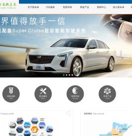 河南新未来投资有限公司