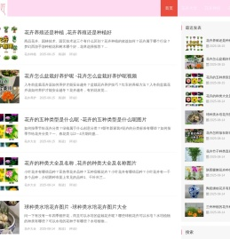 cl体育网