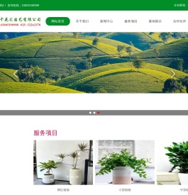 网红南京绿植租赁