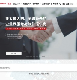 ERP软件专家