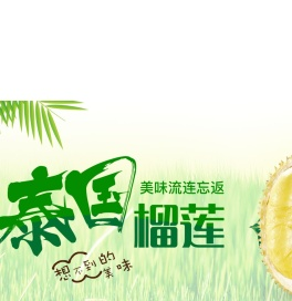 无核榴莲肉批发