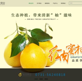 泉龙果业