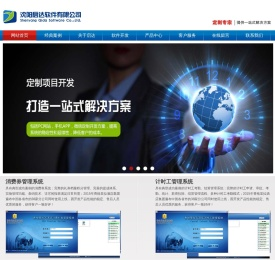 软件开发