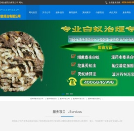 惠州白蚁防治
