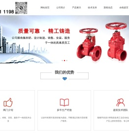 埃维柯阀门