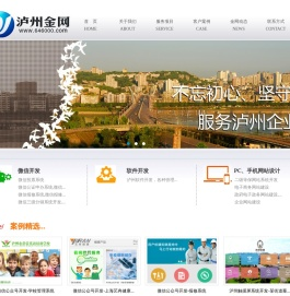 泸州金网简介,泸州网站建设,泸州网络公司,泸州网站制作,泸州微信网站,泸州手机网站
