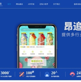 专注高端网站建设