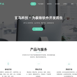玄鸟科技