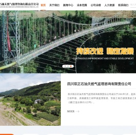 四川双正石油天然气监理咨询有限责任公司
