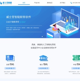 威士登智能财务软件