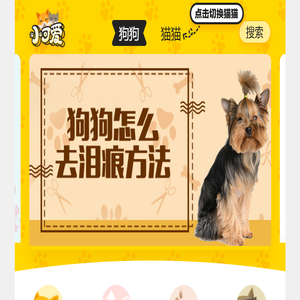 粉爪网