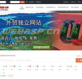 跨境电商独立站