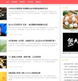 绯娱网