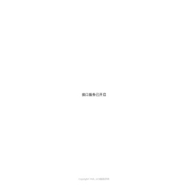程序接口