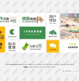 CRM开发专家