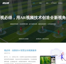 视必得