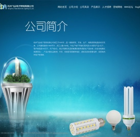 杭州飞达电子照明有限公司