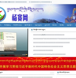 杨赛网