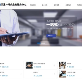 天津一站式企业服务中心