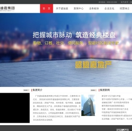 广东盛迪嘉电子商务股份有限公司