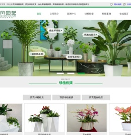 西安绿植租摆,西安绿植租赁,西安花卉租摆,绿植租摆,办公室绿植租摆