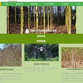 金敦福