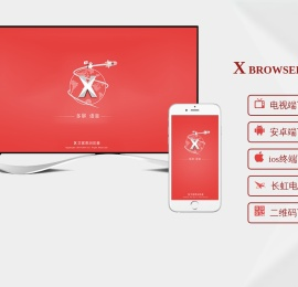 艾客思浏览器