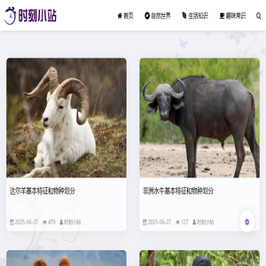 建筑塑料模壳