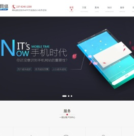 衡阳雷迪网络信息技术有限责任公司
