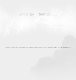 重庆大渝网