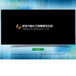武汉力发化工有限责任公司
