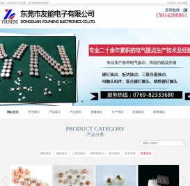 东莞市友能电子有限公司