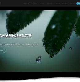烟台致美化学科技有限公司