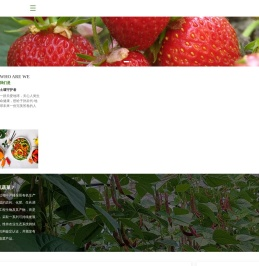 上海艾妮维农产品专业合作社