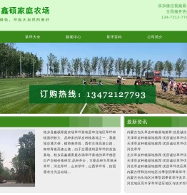 河北省石家庄市栾城区草坪种植基地